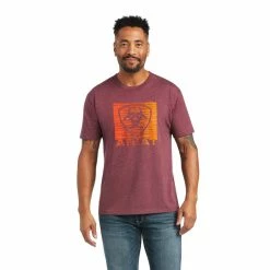 Men's Ariat Gradient T-Shirt - 10040882 -Nigro's Western Store 10040882 front
