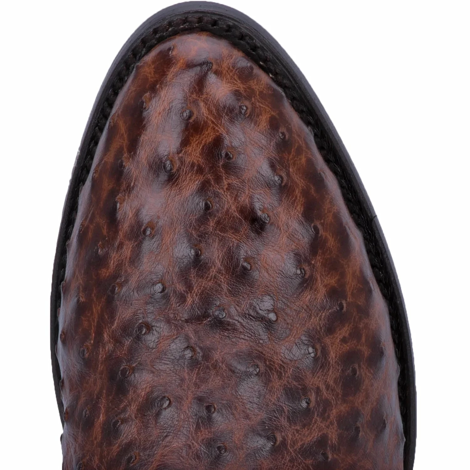Men's Dan Post Brass Full Quill Ostrich Cowboy Boot - DP3016 2 Men's Dan Post Brass Full Quill Ostrich Cowboy Boot - DP3016 - Image 2