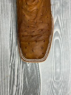 Men's Horse Power Oryx Lux FQ Ostrich With 13" Bucky Black Tops - HP-8017 5 Men's Horse Power Oryx Lux FQ Ostrich With 13" Bucky Black Tops - HP-8017 -Nigro's Western Store IMG 3662