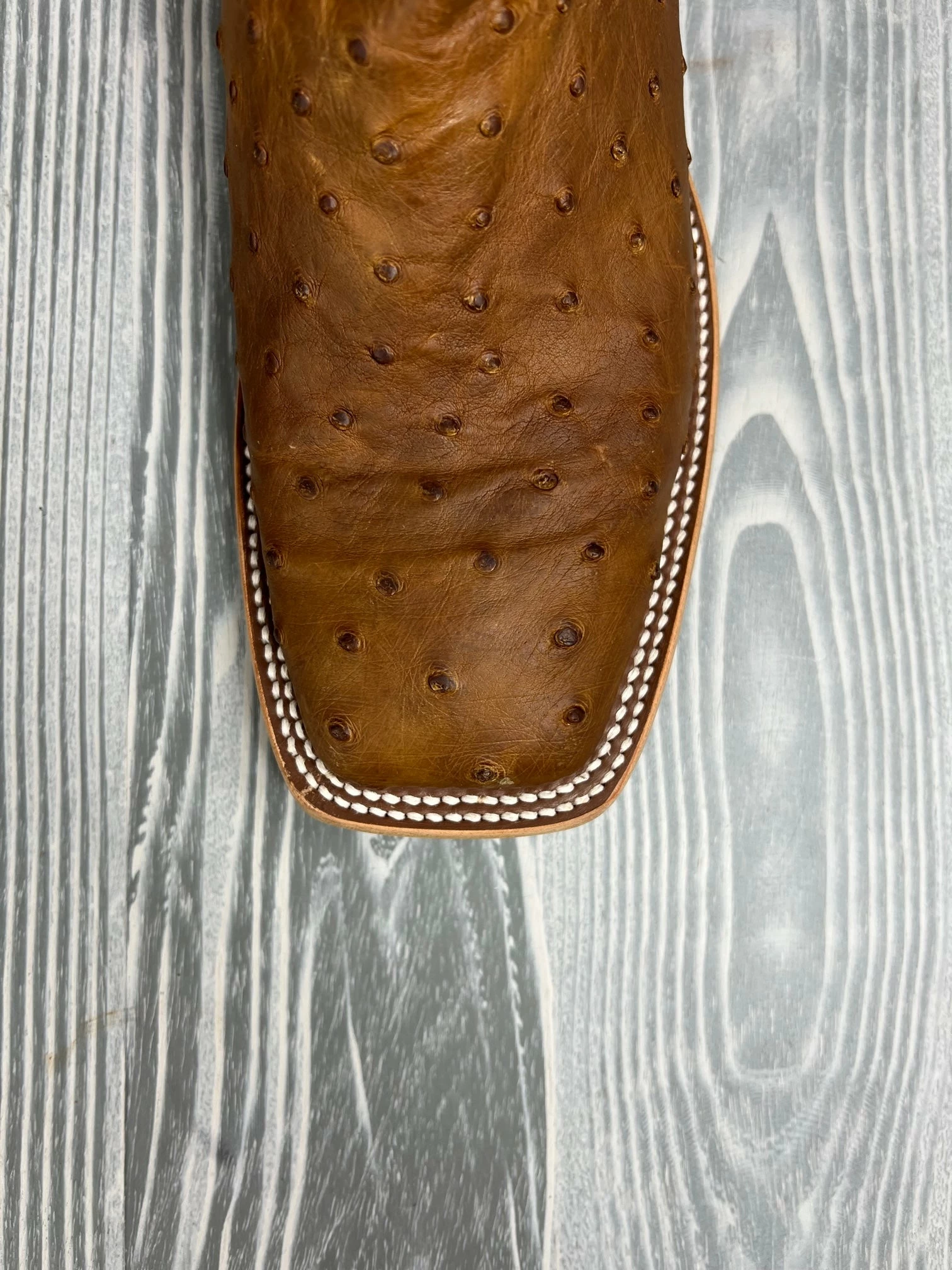 Men's Horse Power Oryx Lux FQ Ostrich With 13" Bucky Black Tops - HP-8017 3 Men's Horse Power Oryx Lux FQ Ostrich With 13" Bucky Black Tops - HP-8017 - Image 3