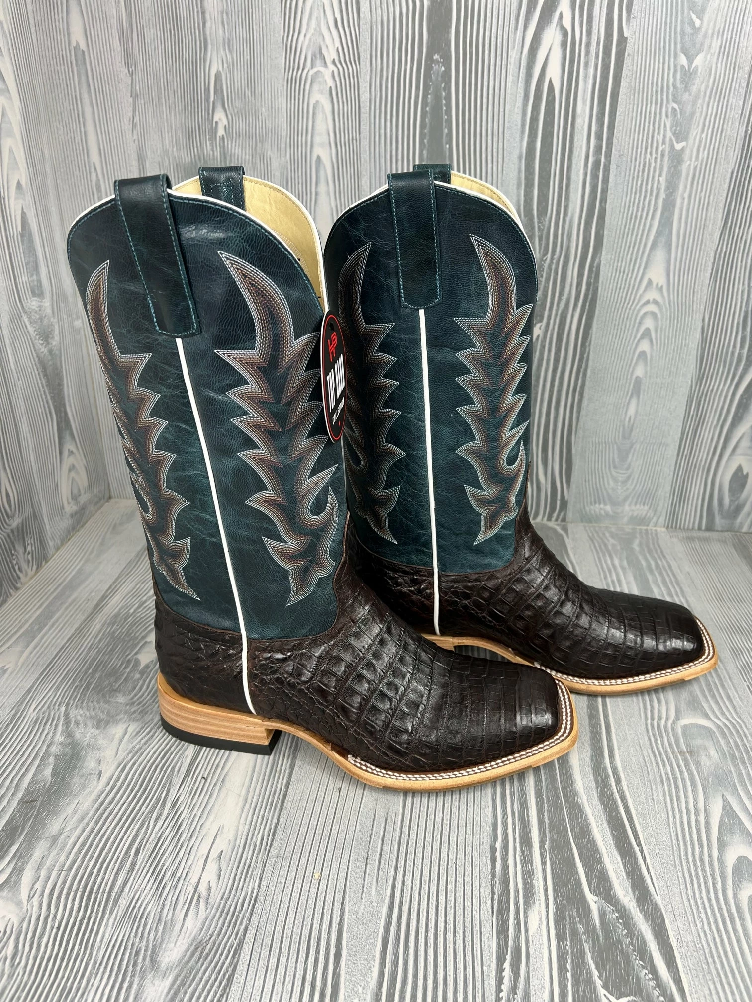 Men's Horse Power Chocolate Caiman Belly with 13" Navy Explosion Tops - HP-8065 Nigro's Western Store #1 Men's Horse Power Chocolate Caiman Belly With 13" Navy Explosion Tops - HP-8065 -Nigro's Western Store IMG 4349