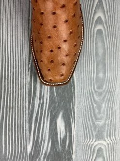 Nigro's Western Store #1 Rios Of Mercedes Brandy Mad Dog Full Quill Ostrich With 13" Red Avatar Tops -Nigro's Western Store IMG 4630