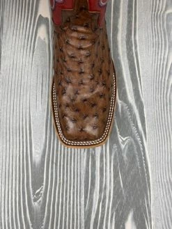 Macie Bean Top Hand Kango Tobac Full Quill Ostrich With 12" Red Fools Goat - M2001 3 Macie Bean Top Hand Kango Tobac Full Quill Ostrich With 12" Red Fools Goat - M2001 -Nigro's Western Store MB4