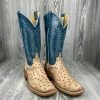 Men's Anderson Bean Tan Vintage Bruciato Full Quill Ostrich With 13" Mallard Kidksin Tops